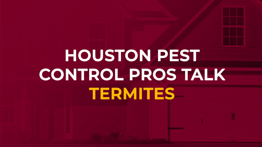 Houston Pest Control Termites