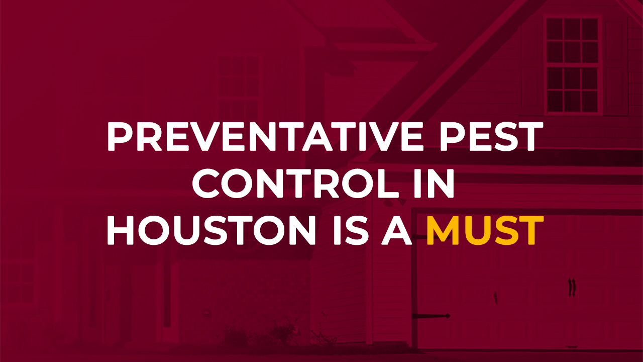 Preventative Pest Control In Houston 43023