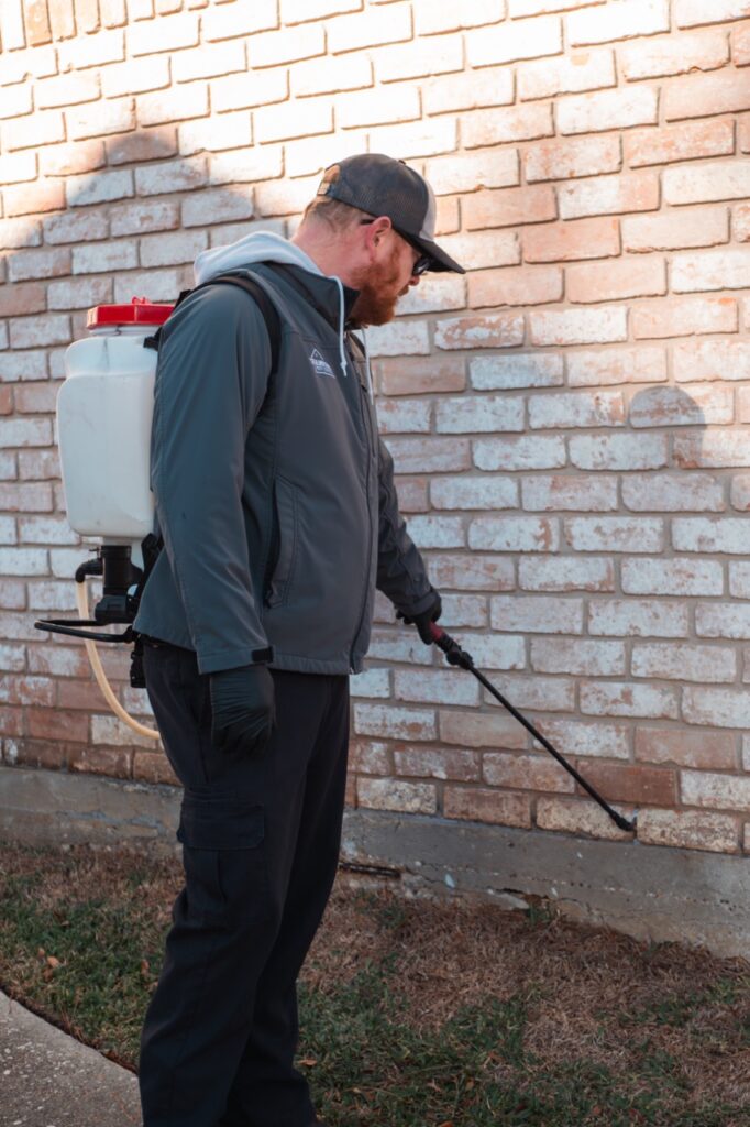 Mosquitoes Champions Pest Control